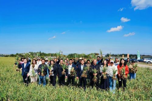 飘四海 闽疆同心庆丰收pg模拟器试玩北庭蒜香(图2)