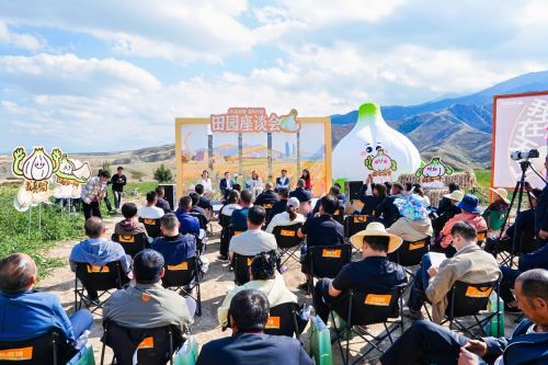 飘四海 闽疆同心庆丰收pg模拟器试玩北庭蒜香(图5)