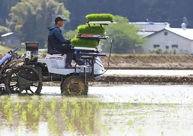 斤米飙至4335日元中国陈米成救命稻草pg电子模拟器一碗米饭难倒日本人！5公(图18)