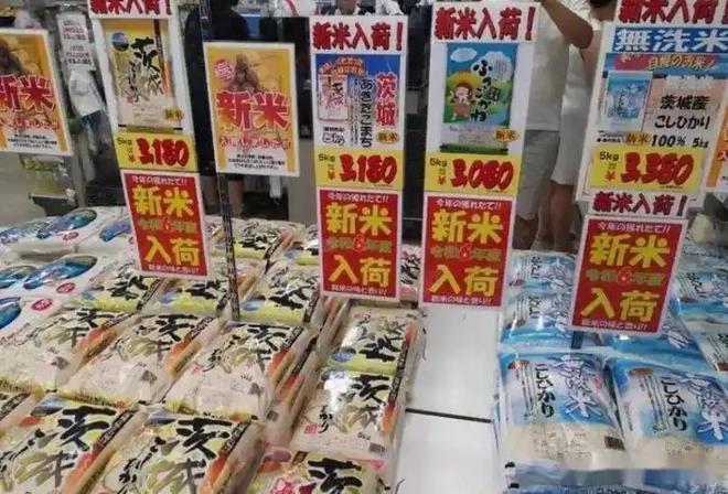 斤米飙至4335日元中国陈米成救命稻草pg电子模拟器一碗米饭难倒日本人！5公(图13)