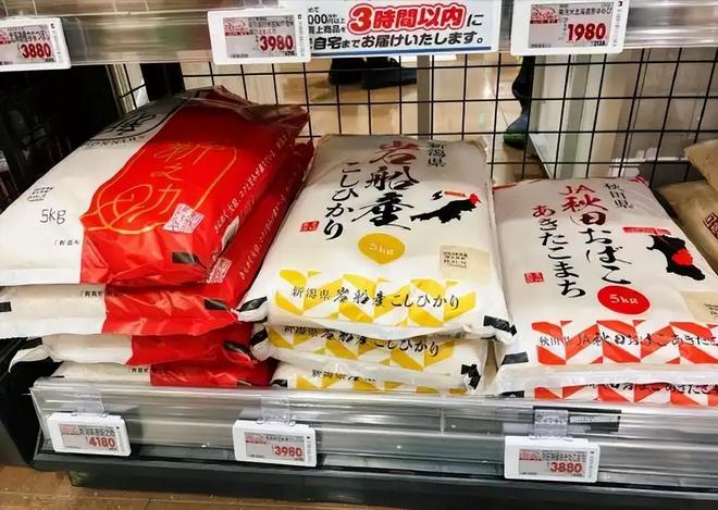 斤米飙至4335日元中国陈米成救命稻草pg电子模拟器一碗米饭难倒日本人！5公(图16)