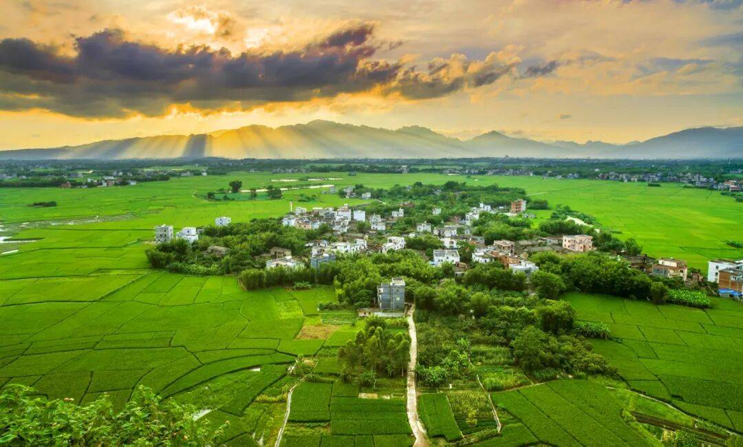 市各地深化农村移风易俗成效显著电子pg文明乡风美浔郁——我(图2)